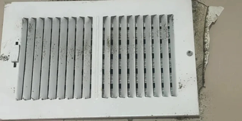 mold vs dust